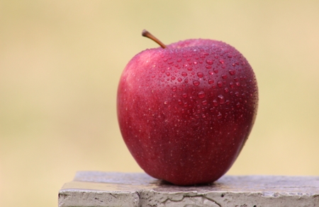 Red Delicious Appleの写真素材