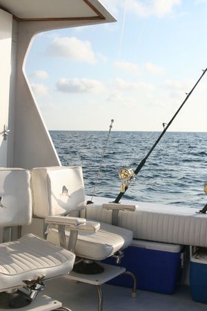 sport fishの写真素材