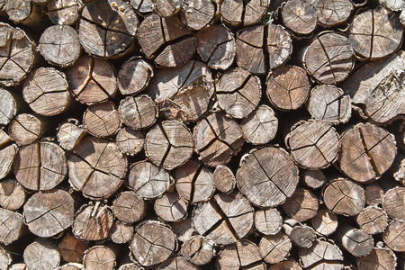Dry wood pile with some shadows and dark spots.の写真素材
