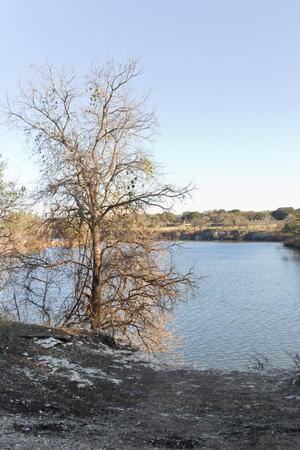 Trees, rock and river at Brushy Creek Regional Trail.の写真素材