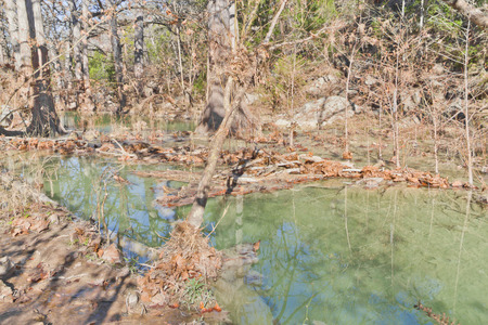 Trees, shadows and river at Hamilton Pool. Austin, Texas.の写真素材