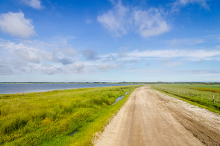 Green field farm in Lagoa do Peixe lakeの写真素材