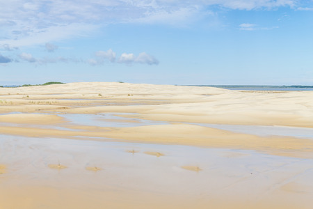 Dunes with some vegetation and puddles at Lagoa do Peixe lakeの写真素材