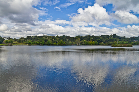 Trees around Sao Bernardo lake, Sao Francisco de Paula, Rio Grande do Sul, Brazilの写真素材