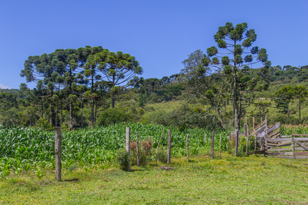 Iron fence at Farm in Itaimbezinho Canyon, Cambara do Sul, Rio Grande do Sul, Brazilの写真素材