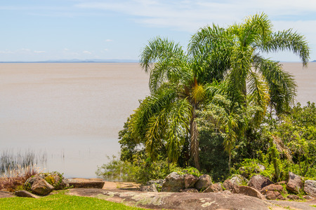 Guaiba lake with vegetation, Itapua, Viamao, Rio Grande do Sulの写真素材