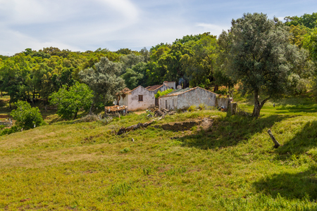 Farm house  and cork tree in Santiago do Cacem, Alentejo, Portugalの写真素材