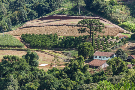Farm in Valley and mountains in Nova Petropolis, Rio Grande do Sul, Brazilの写真素材
