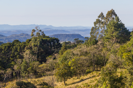 Forest,mountains and Farms in Gramado, Rio Grande do Sul, Brazilの写真素材