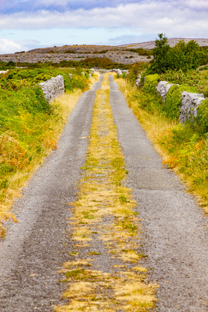 Farm road around vegetation and stone wall in Ballyvaughan, Irelandの写真素材