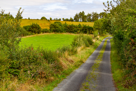 Farm and road in Greenway route from Castlebar to Westport, Irelandの写真素材