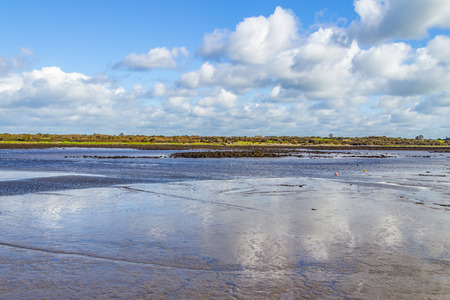 Kinvarra bay with vegetation and cloud reflection, Irelandの写真素材