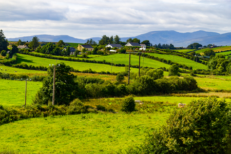 Farm field in Greenway route from Castlebar to Westport, Irelandの写真素材
