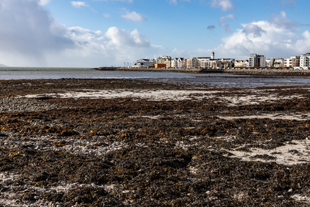 Salthill beach with houses and buildings, Galway, Irelandの写真素材