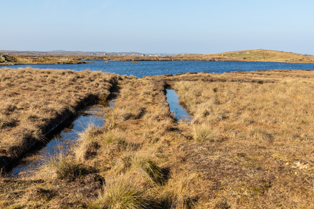 Bog with vegetation and lake, Clifden, Galway, Conemara, Irelandの写真素材
