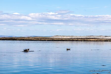 Seal colony beach and Galway bay in background in Inishmore, Aran Islands, Ireland