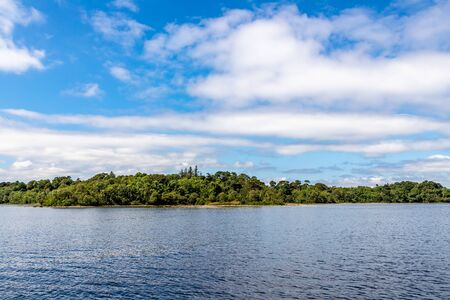 Forest in Island of Lough Corrib, Oughterard, Ireland