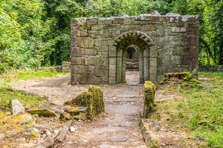 Church of the Saints ruins in Inchagoill Island, Galway, Irelandの写真素材