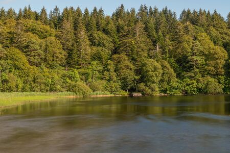 River and forest with reflections, Cong, Mayo, Irelandの写真素材