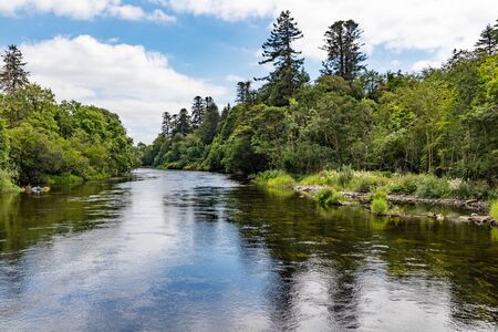 River and forest with reflections, Cong, Mayo, Irelandの写真素材