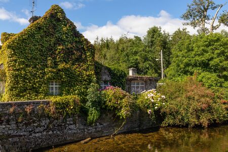 House around river with plants and flowers, Cong, Mayo, Irelandの写真素材