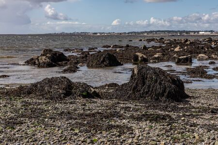 Seaweed, sand and rocks in Ballyloughane Beach, Galway, Ireland