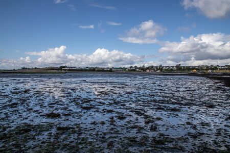 Seaweed and reflections in Ballyloughane Beach, Galway, Ireland
