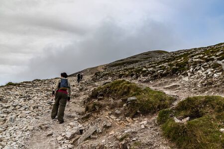 Trail, Rocks and vegetation at Croagh Patrick mountain with Westport in background, Westport, Irelandの写真素材