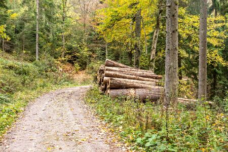 Trail in Black Forest around Forbach village, Germany