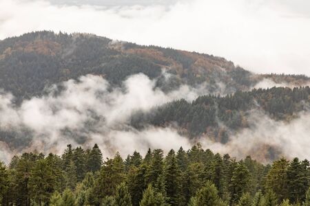 Fog over mountains in Black Forest, Forbach, Germany
