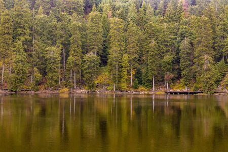 Mummelsee lake and Trail in Black Forest, Germanyの写真素材