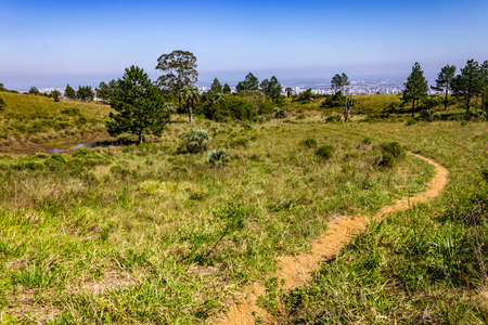 Trail, Vegetation and Porto Alegre cityview from Morro Santana, Rio Grande do Sul, Brazil