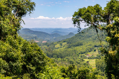 Forest over mountain, valley and farm plantation, Linha nova village, Rio Grande do Sul, Brazil