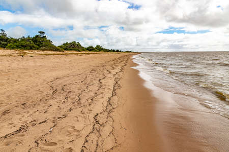 Vegetation and beach in Lagoa do Patos lake, Tapes, Rio Grande do Sul, Brazilの写真素材