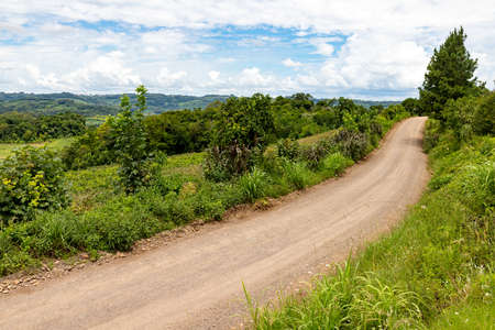 Dirty road around farm plantation and forest, Bento Goncalves, Rio Grande do Sul, Brazilの写真素材