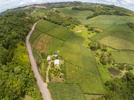House, Vineyards and road in valley, Monte Belo do Sul, Rio Grande do Sul, Brazil