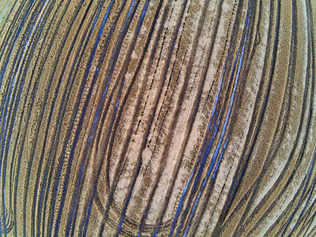 Aerial view of rice plantation fields, Venancio Aires, Rio Grande do Sul, Brazil