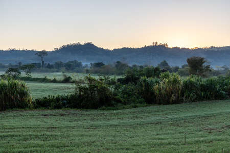 Farm field at sunrise with mountain and forest, Santa Cruz do Sul, Rio Grande do Sul, Brazilの写真素材