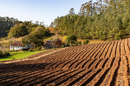Soil prepared for plantation in a farm, Santa Cruz do Sul, Rio Grande do Sul, Brazilの写真素材