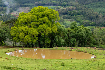 Farm field with lake and forest over mountains, Santa Maria do Herval, Rio Grande do Sul, Brazilの写真素材