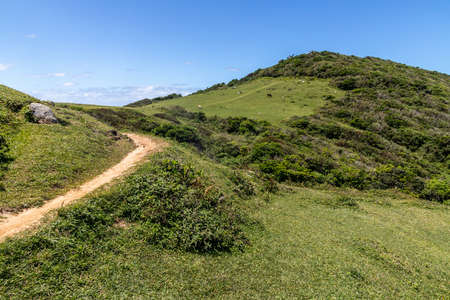 Trail to the beach with farm field and vegetation, Barra do Ibiraquera, Ibiraquera, Santa Catarina, Brazilの写真素材