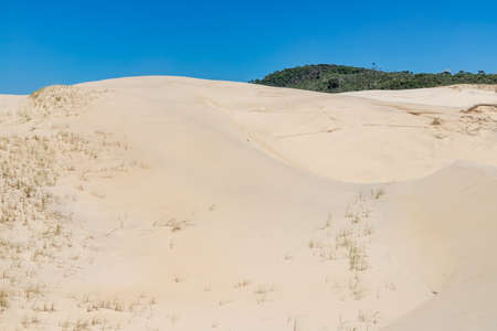 Dunes and vegetation, Ribanceira, Ibiraquera, Imbituba, Santa Catarina, Brazilの写真素材