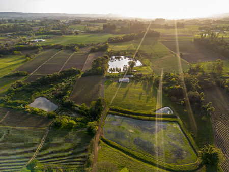 Aeroview of farm fields with lakes and plantation at sunset, Venancio Aires, Rio Grande do Sul, Brazilの写真素材