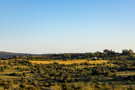 Farm field with trees and a house, Cacapava do Sul, Rio Grande do Sul, Brazilの写真素材
