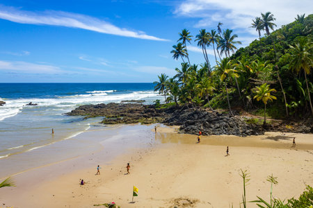 Vegetation, waves and rocks at Havaizinho beach, Itacare, Bahia, Brazilのeditorial素材