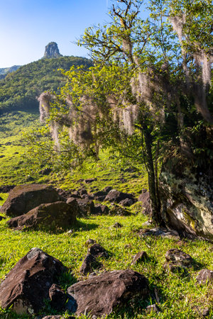 Farm fields in a valley, Tres Forquilhas, Rio Grande do Sul, Brazilの写真素材