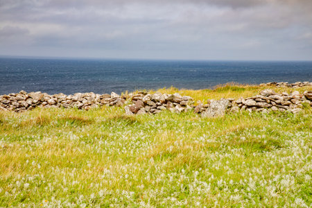 Rock wall, ocen and vegetation in coastal trail close to Slea head drive, Dingle, Kerry, Irelandの写真素材