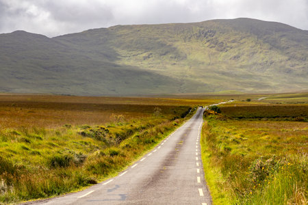Road with Mountains and fields in Dromalonhurt, Kerry, Ireland