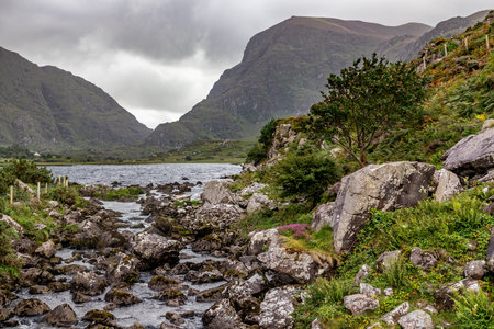 Lake at Gap of Dunloe with rocks and vegetation, Killarney, Kerry, Ireland