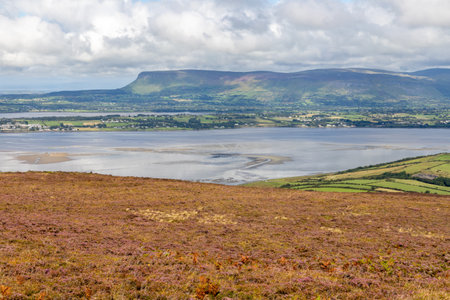 Knocknarea mountain vegetation with ocean in background, Grange North, Knockaree, Sligo, Irelandの写真素材